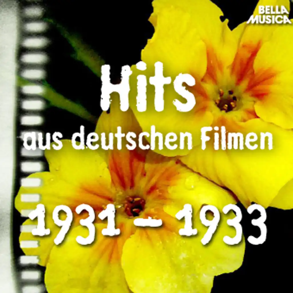 Hits aus deutschen Filmen 1931 - 1933