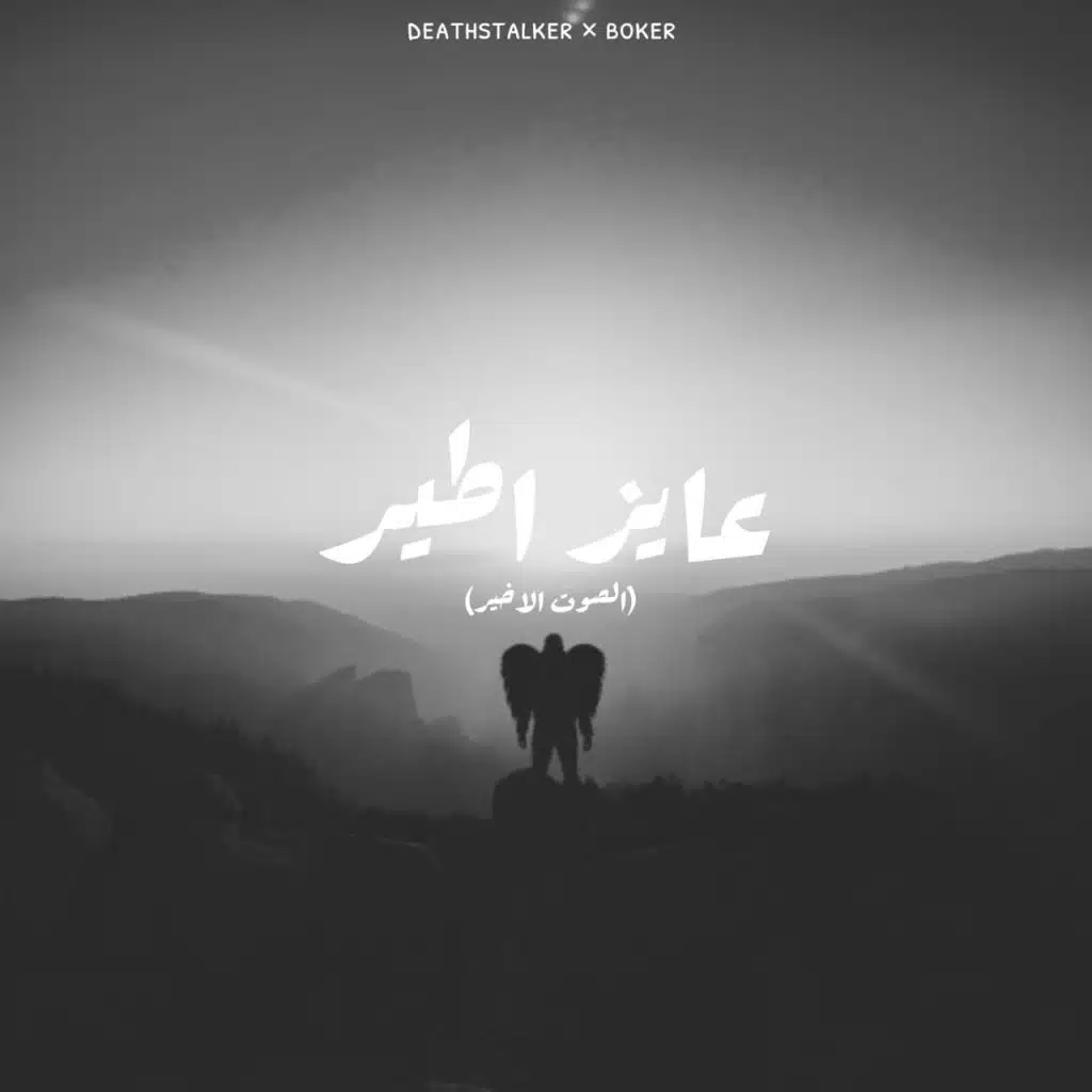 عايز اطير