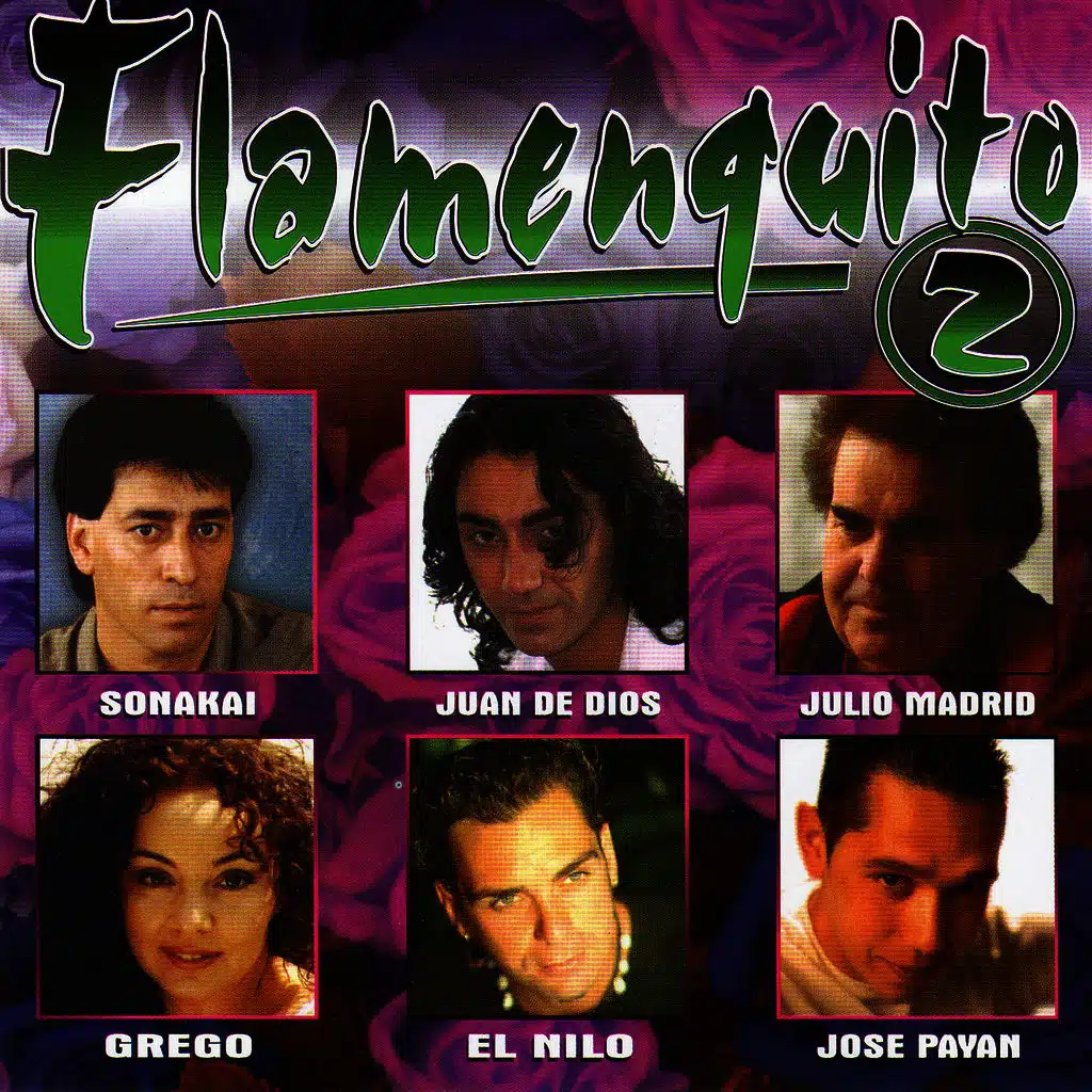 Flamenquito 2