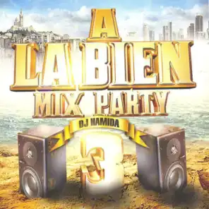 A La Bien Mix Party, Vol. 3 (29 Hits)