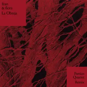 La Obreja (feat. Portico Quartet)