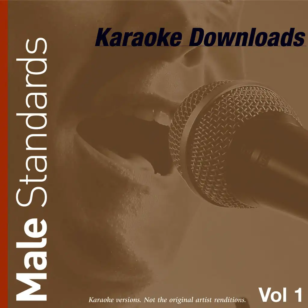 Karaoke Downloads - Male Standards Vol.1