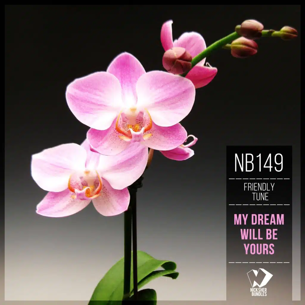 My Dream Will Be Yours