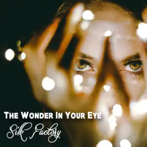 The Wonder In Your Eye (Instrumental Mix)