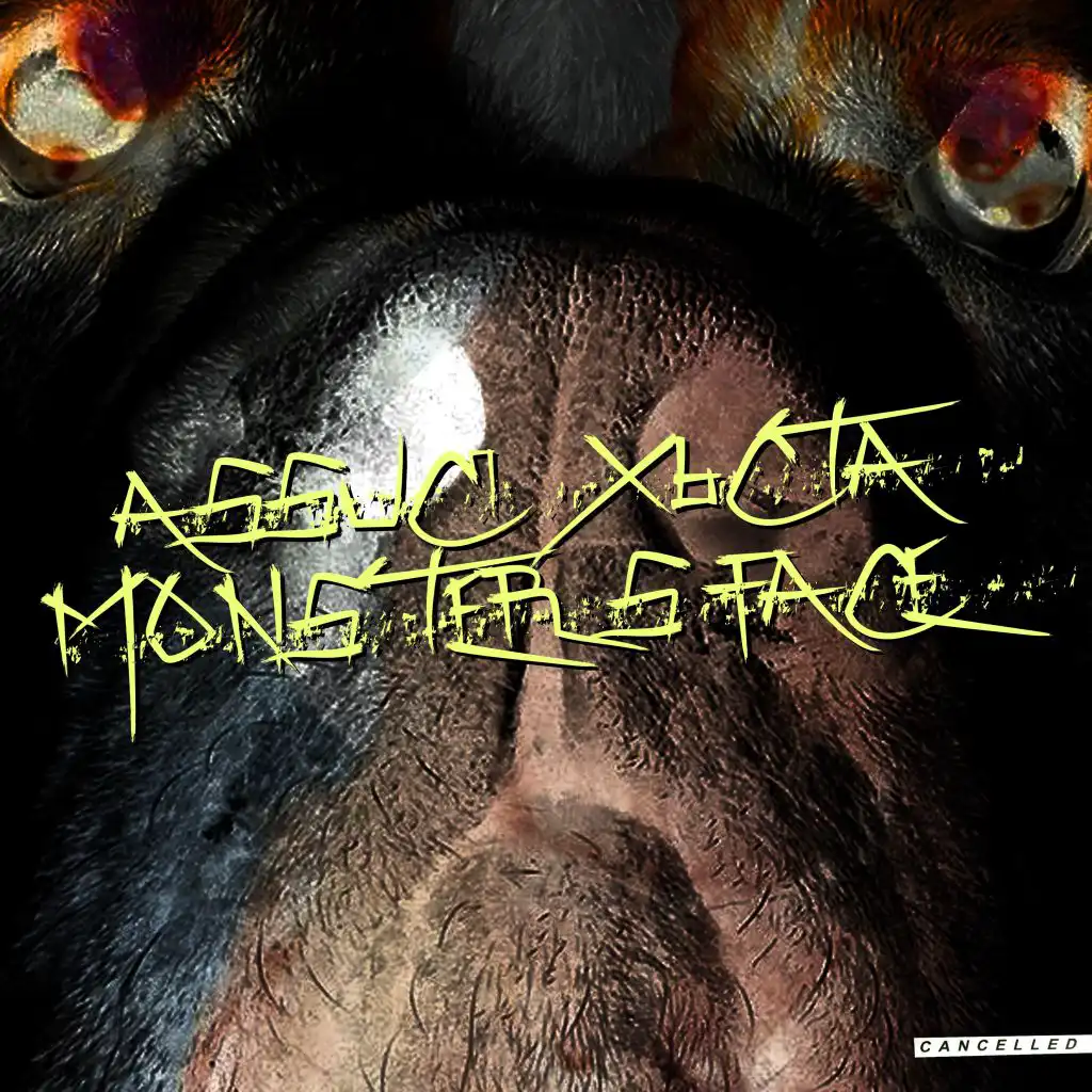 Monster's Face (Dominik Musiolik Remix)