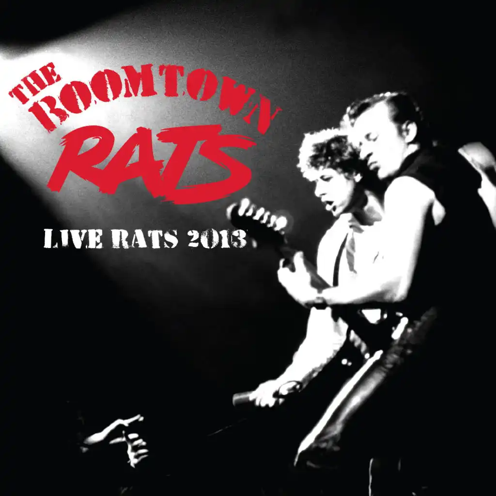 The Boomtown Rats (Live)