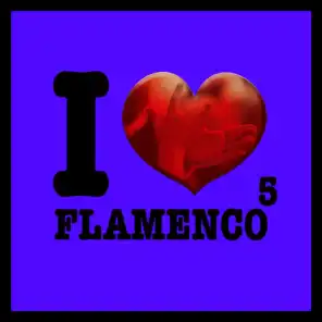 I Love Flamenco Vol.5