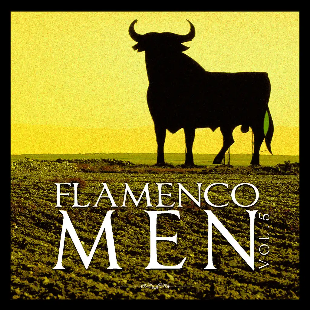 Flamenco Men Vol.5 (Remastered Edition)