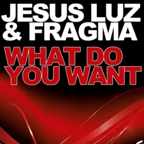 What Do You Want (David Amo & Julio Navas Remix DJ Falk Edit)