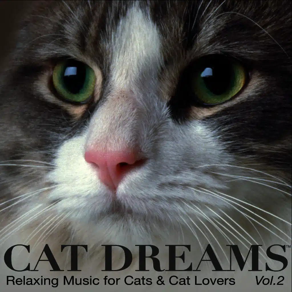 CAT DREAMS - Relaxing Music for Cats & Cat lovers Vol.2