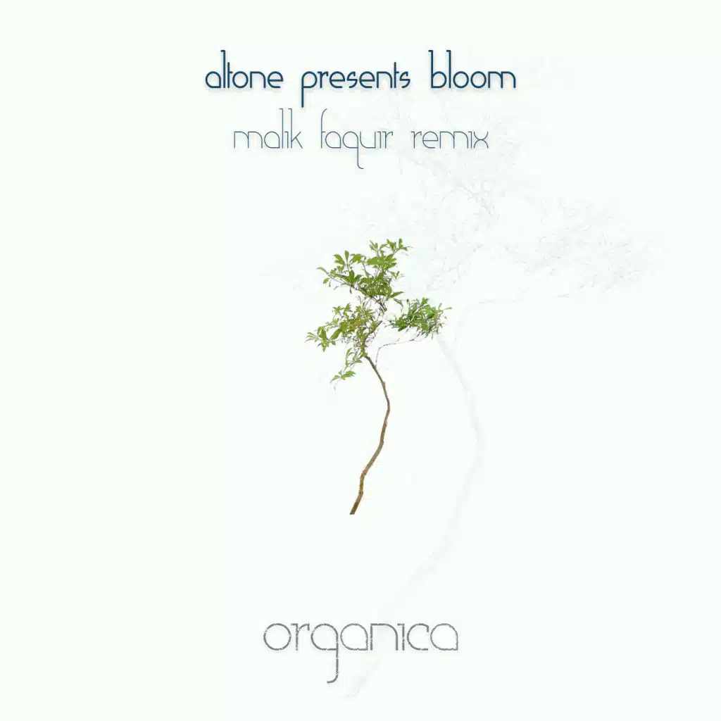 Bloom