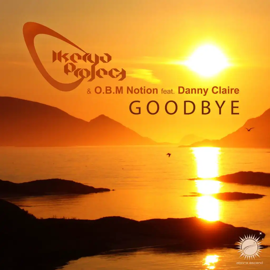 Goodbye (Radio Edit) [feat. Danny Claire]