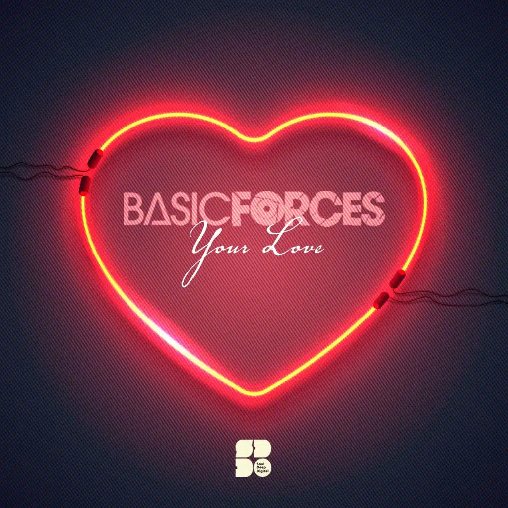 Basic Forces
