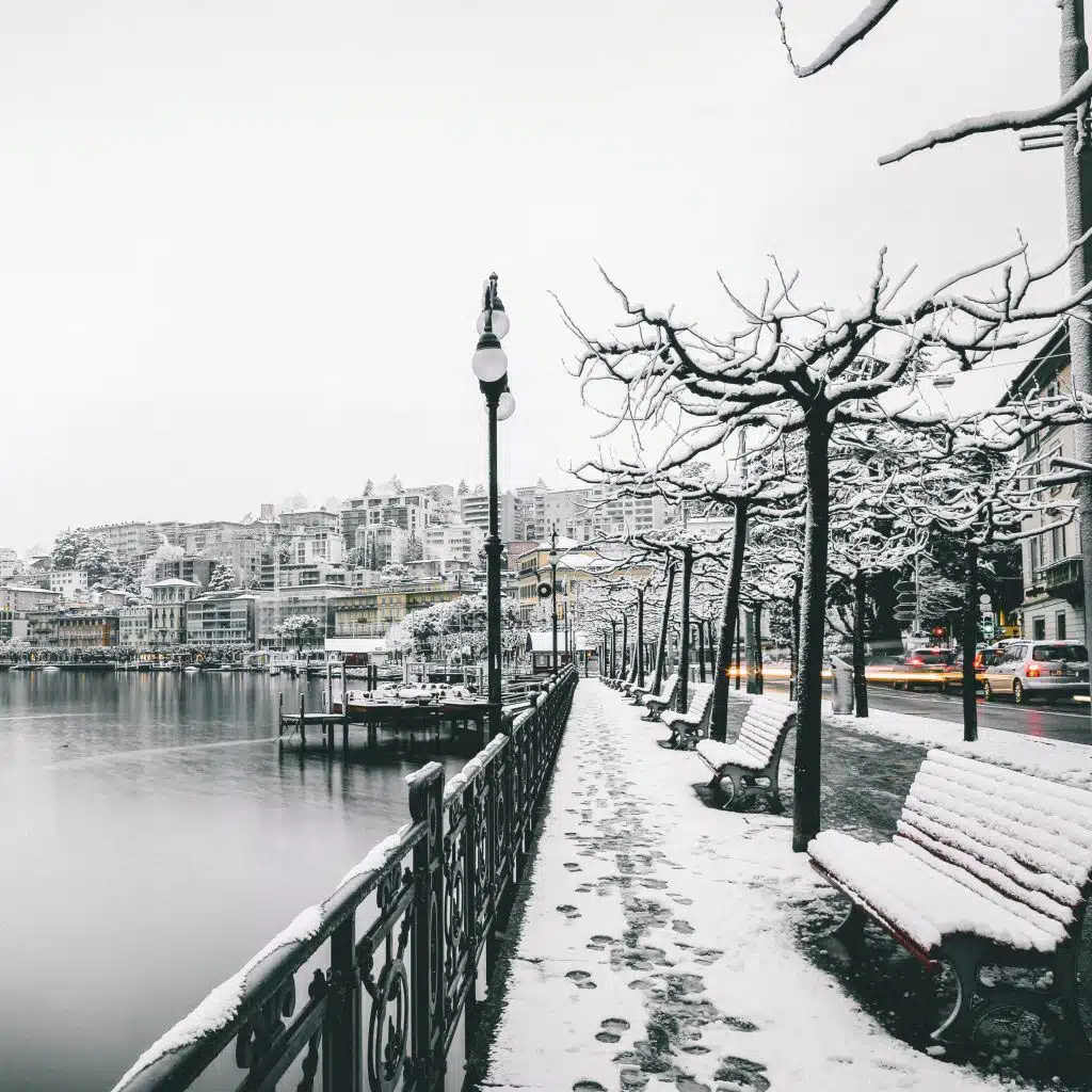 Holly Jolly Christmas Time