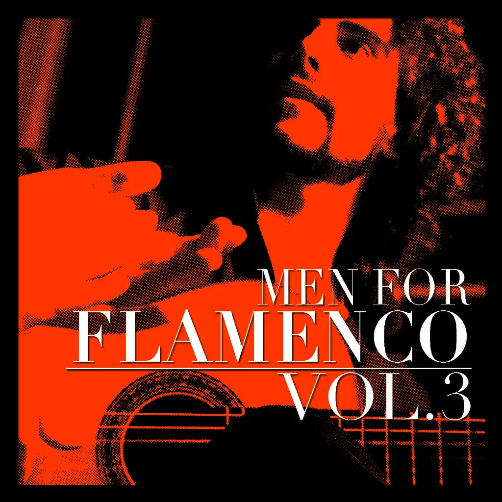 Men for Flamenco Vol. 3