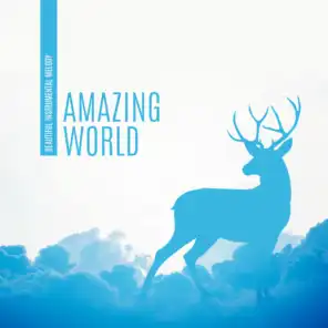 Amazing World – Beautiful Instrumental Melody