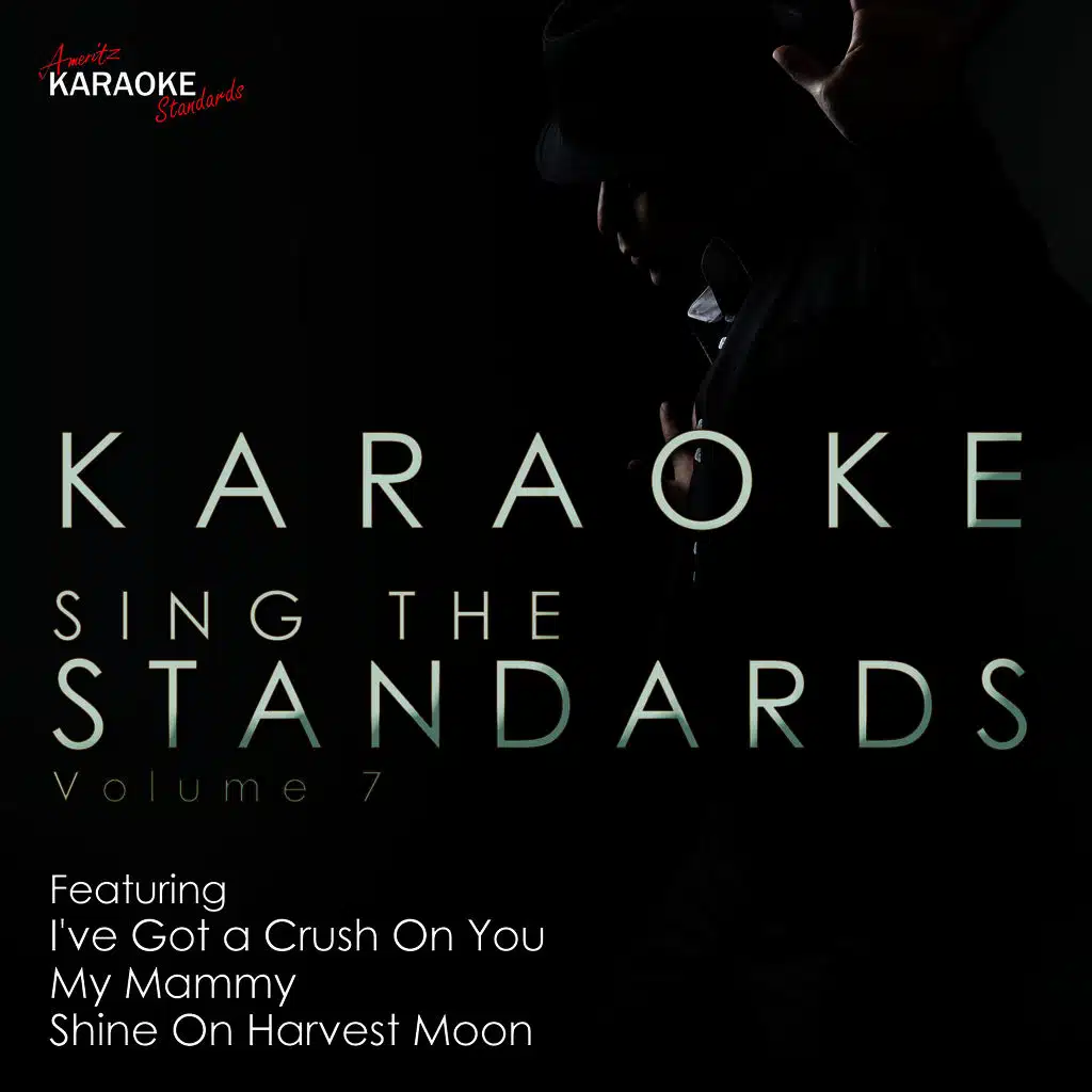 Karaoke - Sing the Standards Vol. 7