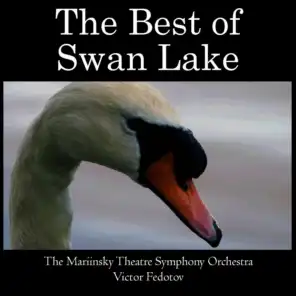 Swan Lake, Op. 20: No. 5, The Black Swan Pas de Deux: II. Andante