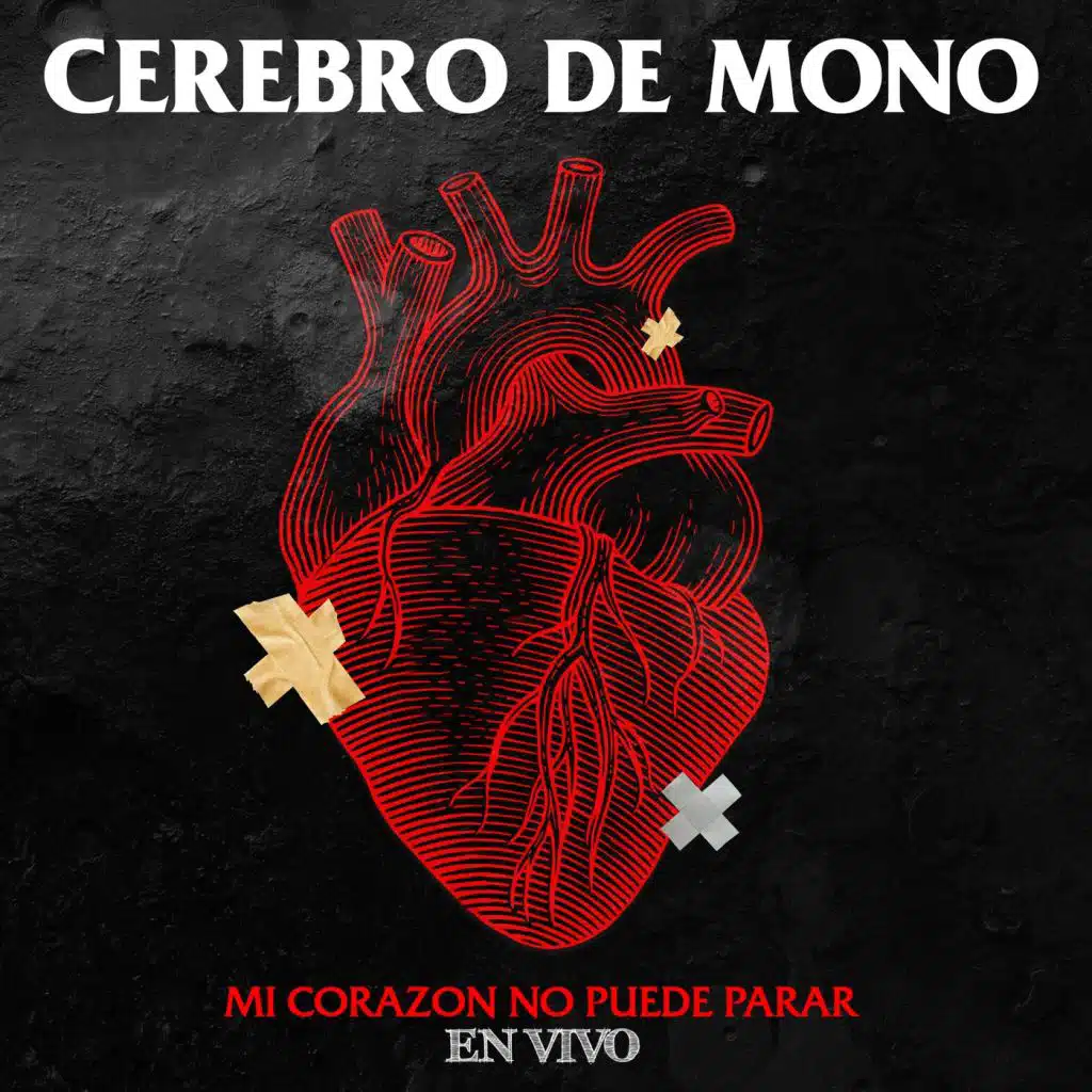 Cerebro de Mono