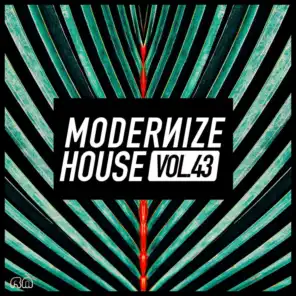 Modernize House, Vol. 43
