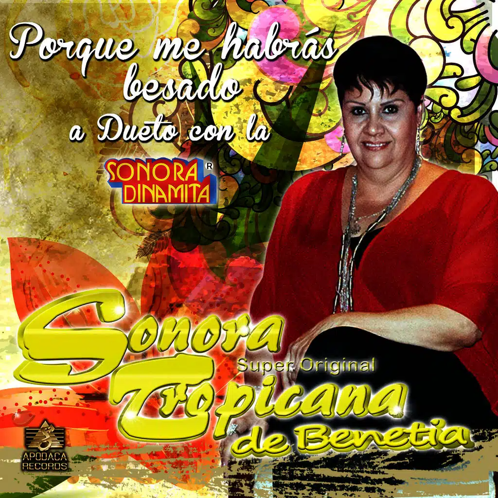 Porque Me Habras Besado