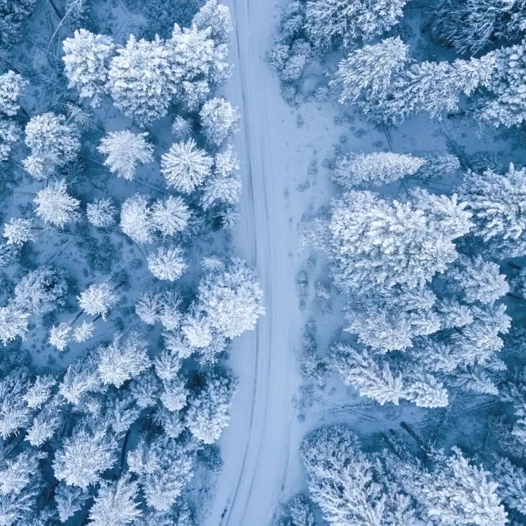 Frosty and Friends