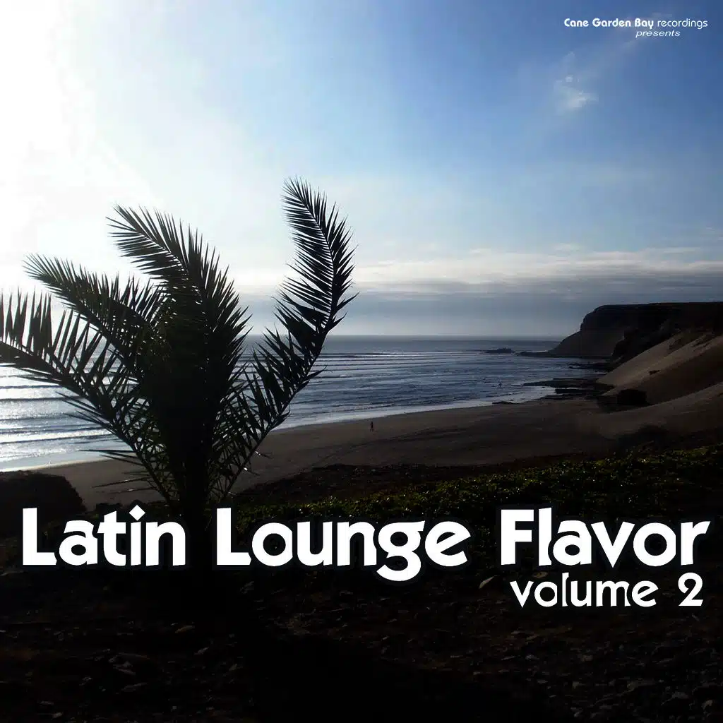 Latin Lounge Flavor, Vol. 2