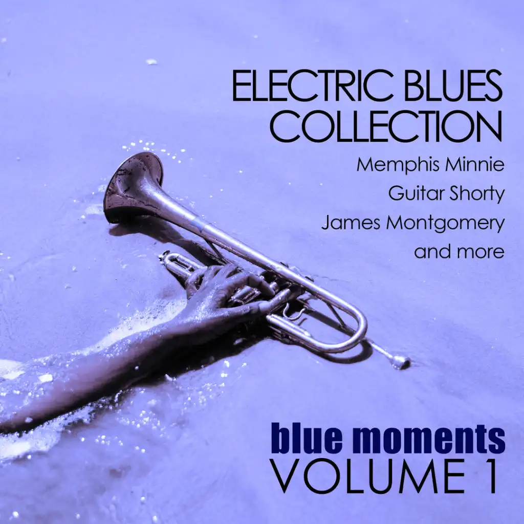 Electric Blues Collection: Blue Moments, Volume 1