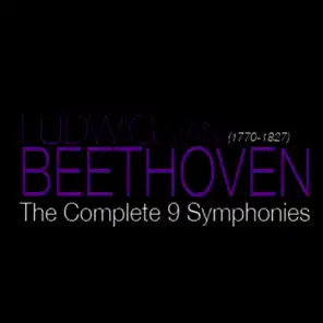 Ludwig van Beethoven & The Fine Classical Orchestra