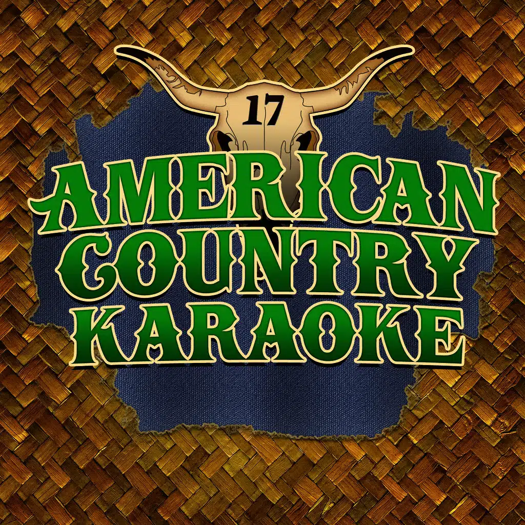 Today's Top Country Karaoke Hits, Vol. 17