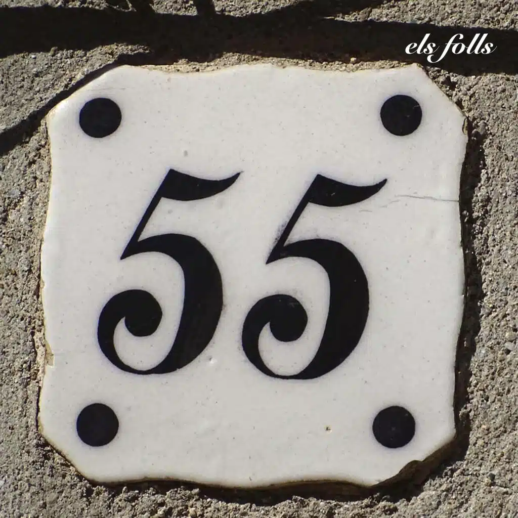 Els Folls