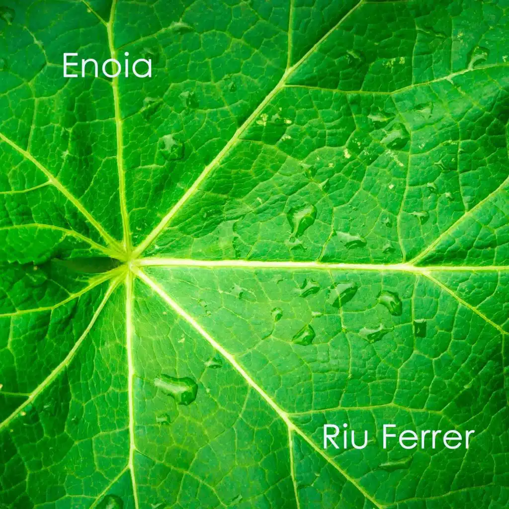 Riu Ferrer