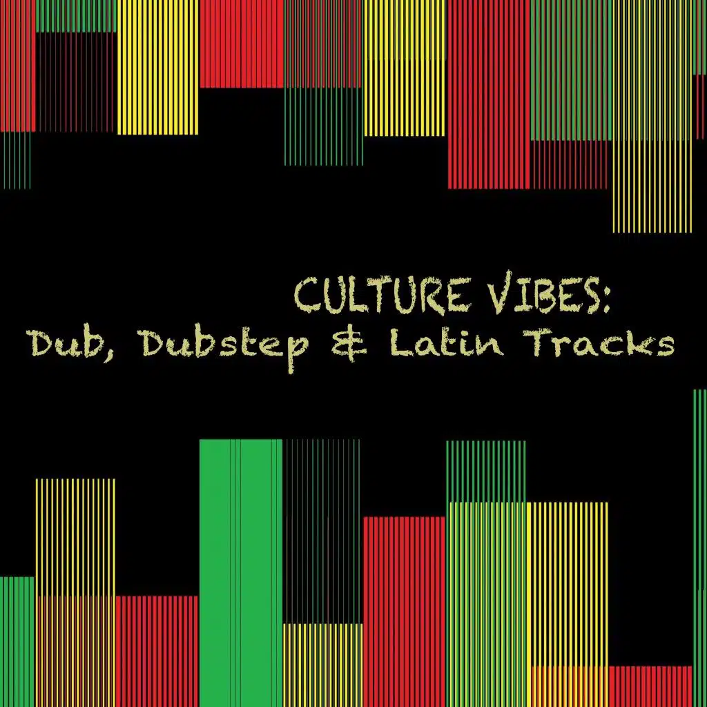 Culture Vibes: Dub, Dubstep & Latin Tracks