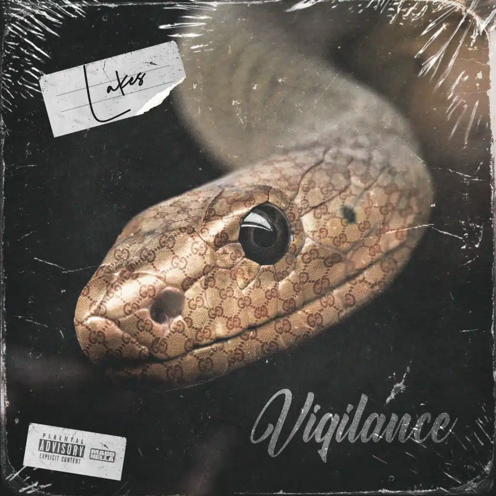 Vigilance