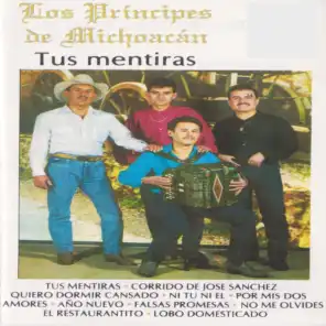Los Principes de Michoacan