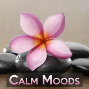 Calm Moods