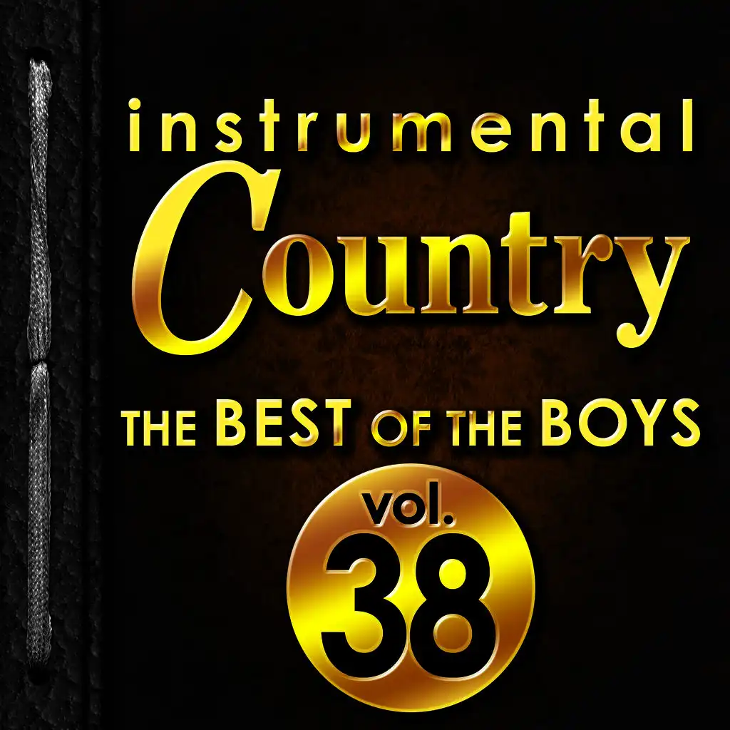 Instrumental Country: The Best of the Boys, Vol. 38