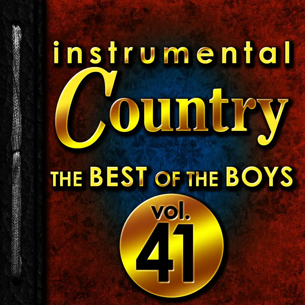 Instrumental Country: The Best of the Boys, Vol. 41