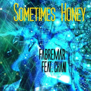 Sometimes Honey (feat. Chani)