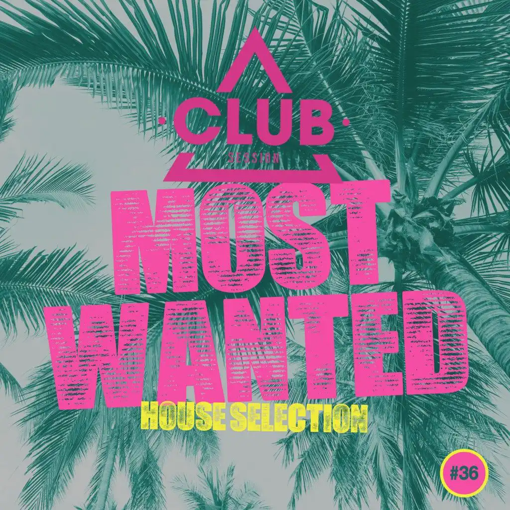 Most Wanted - House Selection, Vol. 36