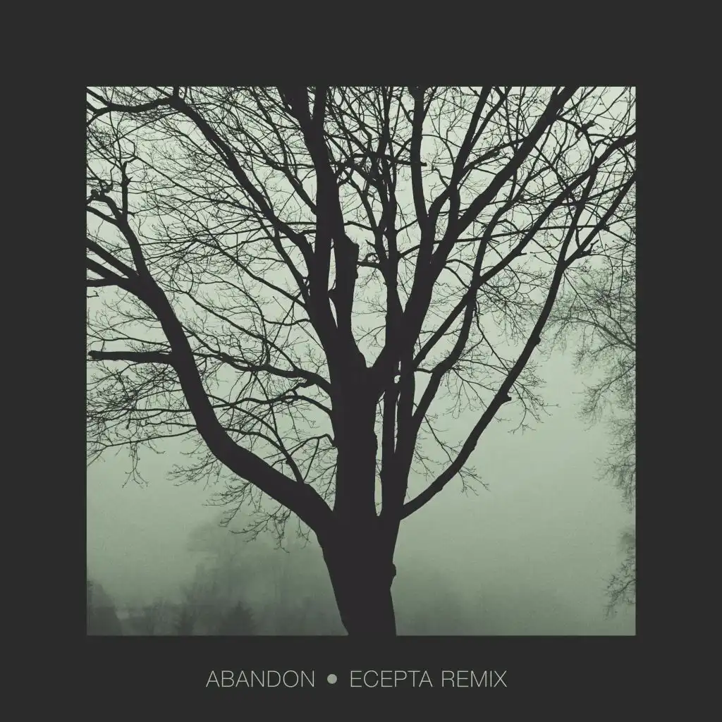 Abandon (Ecepta Remix)