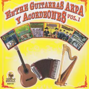 Entre Guitarras Arpa y Acordeones vol 1