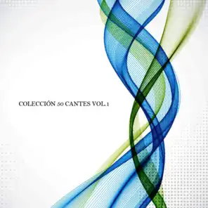 Colección 50 Cantes Vol. 1