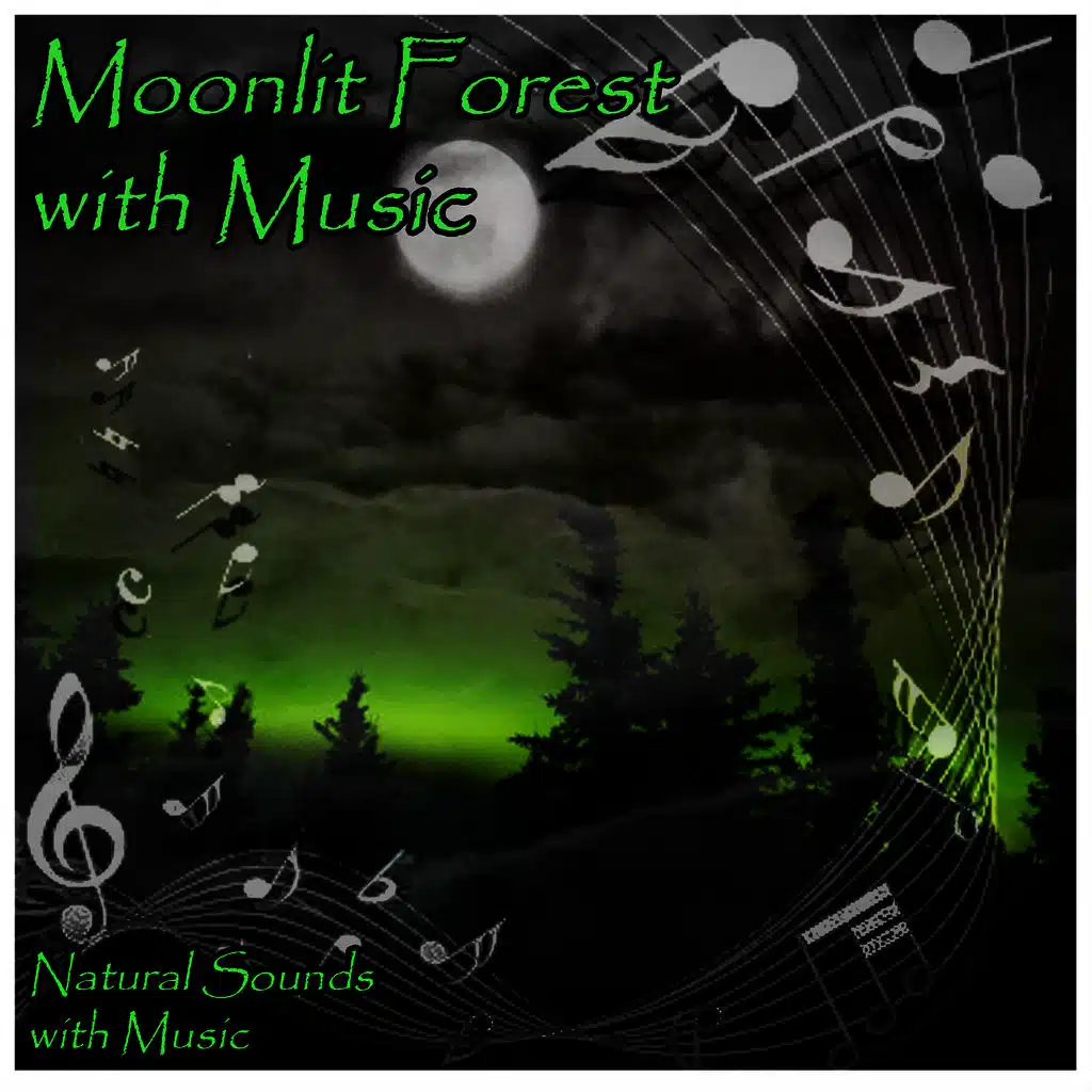 Moonlit Forest with Relaxation Music