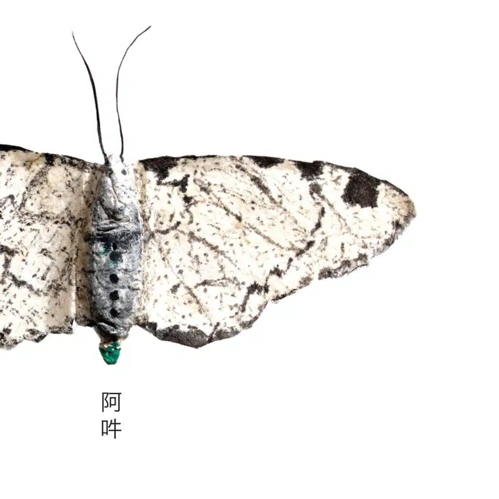 Nemuru