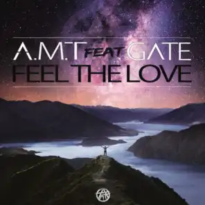 Feel the Love (feat. Gate)