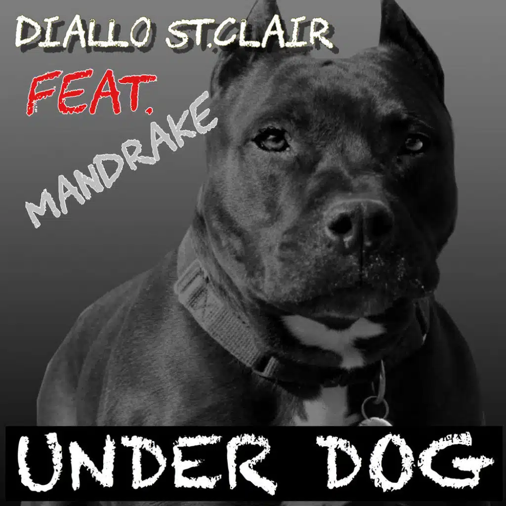 Under Dog (feat. Mandrake)