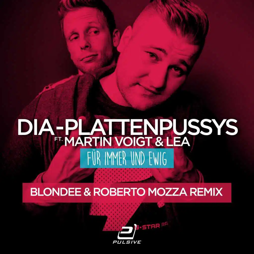 DIA - Plattenpussys