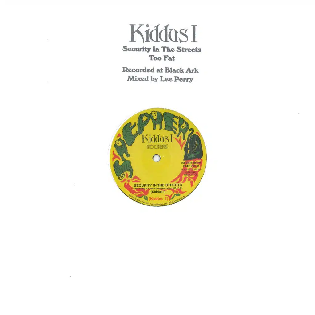 Security in the Streets