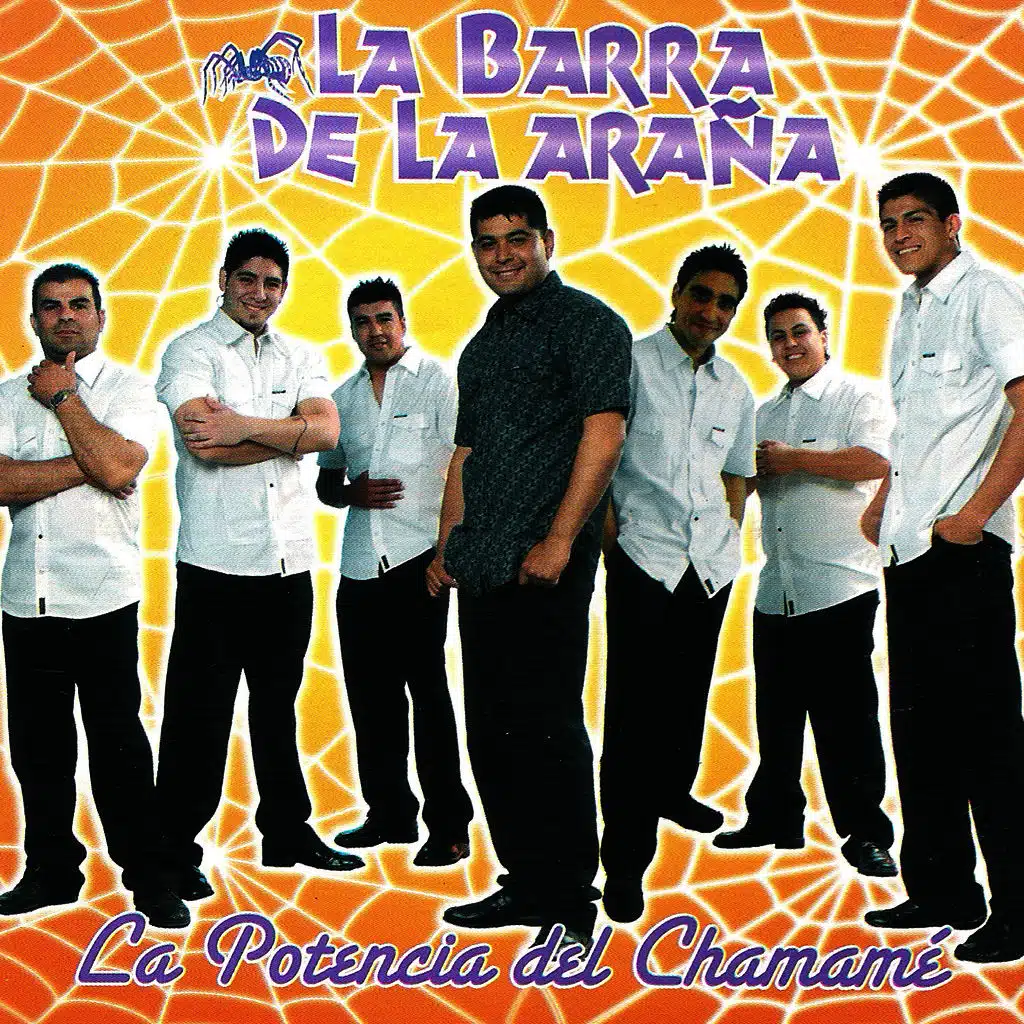 La Potencia del Chamamé